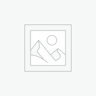 شیر ظرفشویی البرز روز مدل تیام